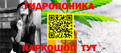 ALPHA-PVP Новозыбков