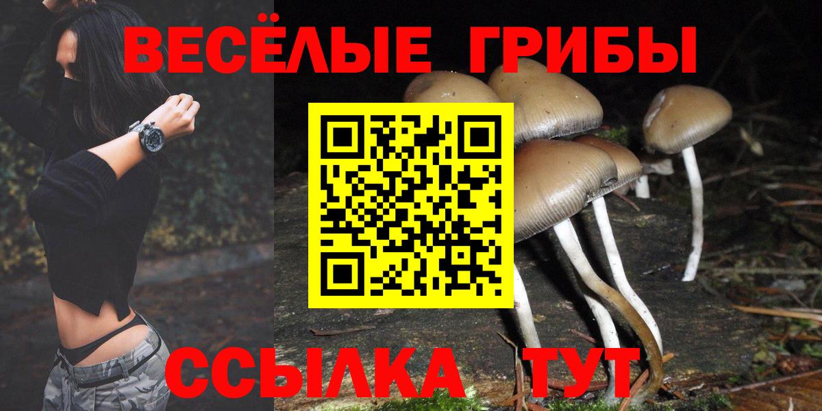 Галлюциногенные грибы GOLDEN TEACHER Сарапул