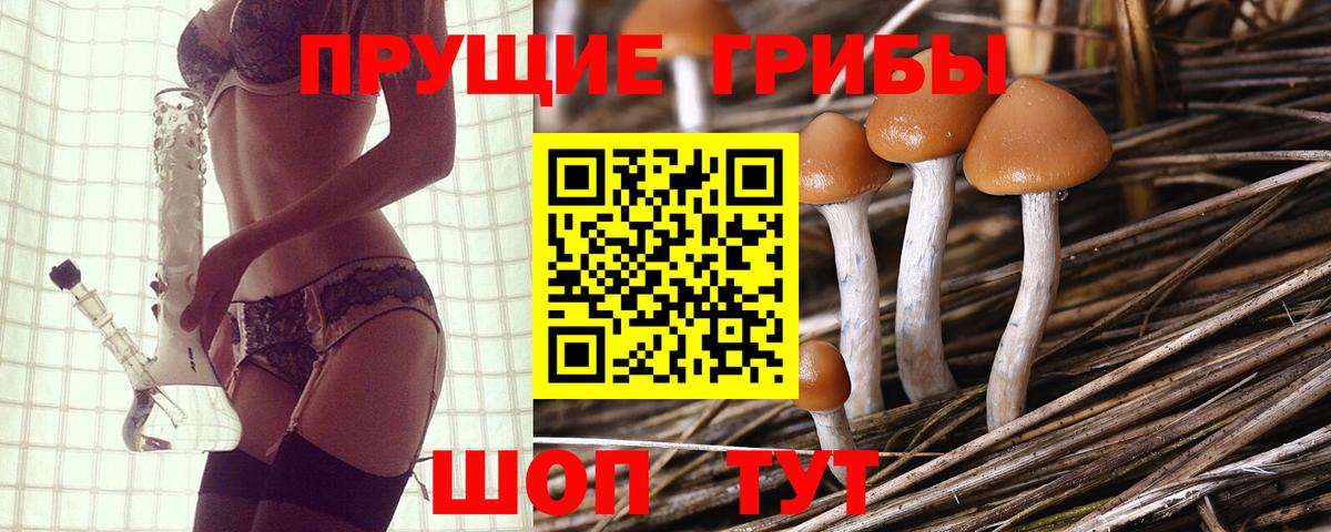 Сарапул  Галлюциногенные грибы GOLDEN TEACHER  дарнет шоп  Псилоцибиновые грибы Cubensis  Вход с VPN 